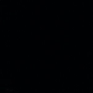 Meet your Posher, Ariana